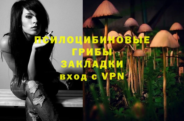apvp Алзамай